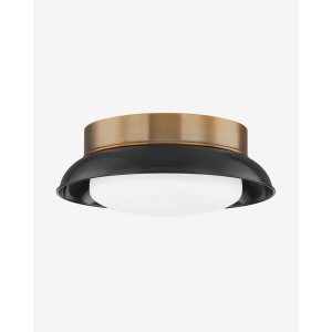 Arnie Flush Mount
