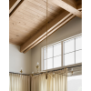 Philomena Chandelier