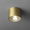 Minimalist Brass Globe LED Flush Mount Light