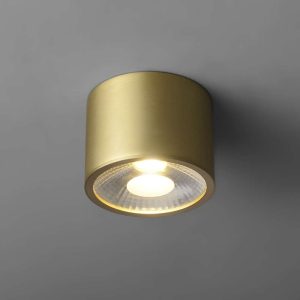 Minimalist Brass Globe LED Flush Mount Light
