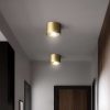 Minimalist Brass Globe LED Flush Mount Light – view 3