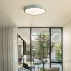 Blue Tiger Stripes Brass Modern Ceiling Light – view 3