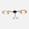 Delphine Glass Globe Triple Flush Mount