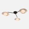 Delphine Glass Globe Triple Flush Mount