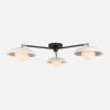 Delphine Glass Globe Triple Flush Mount