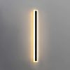 Minimalist Haylen Cylinder Outdoor Wall Lighting in Black