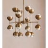 Seed Chandelier