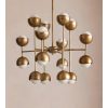 Seed Chandelier