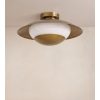 Leon Flush Light