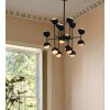 Seed Chandelier, Blackened Brass