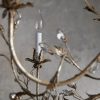 Claudette Chandelier
