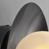 Wall Sconce Light